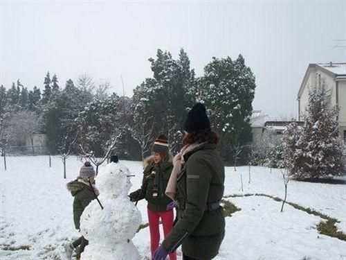 Outdoor Pictures 24