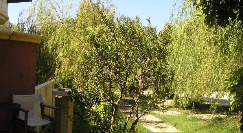 Outdoor Pictures 18