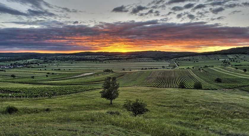 Outdoor Pictures 22