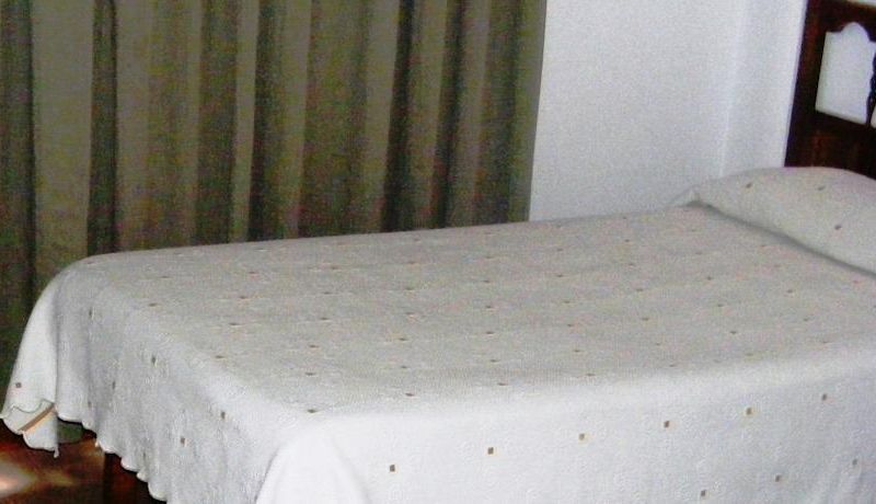 PALMERA