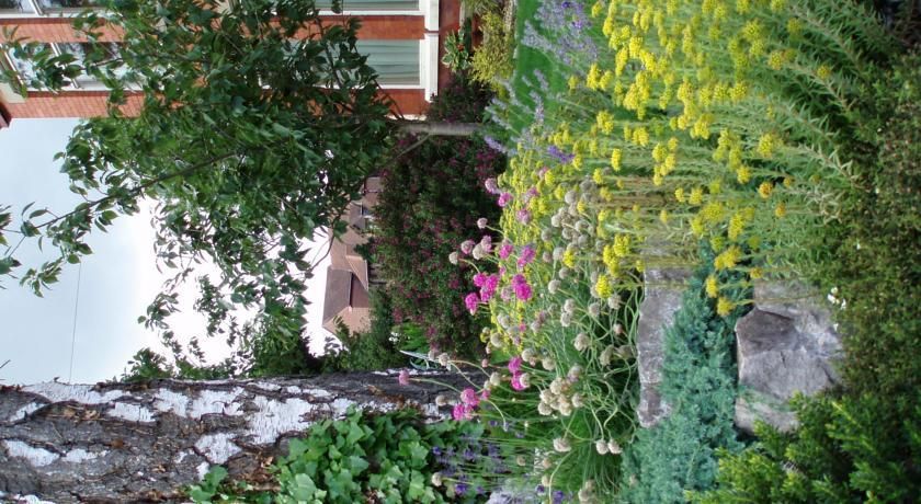 Outdoor Pictures 8