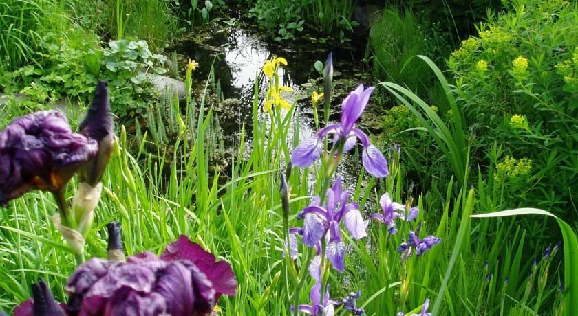 Outdoor Pictures 20