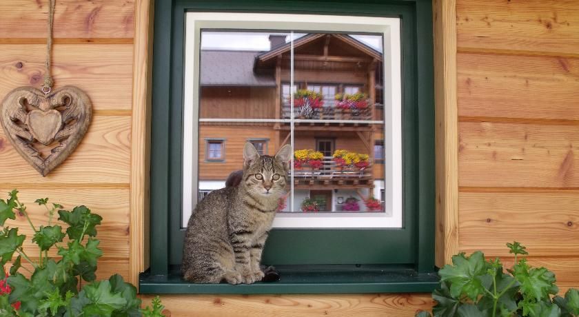 Outdoor Pictures 14
