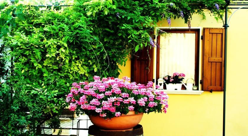 Outdoor Pictures 23