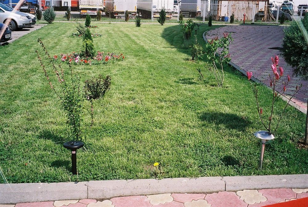 Outdoor Pictures 21