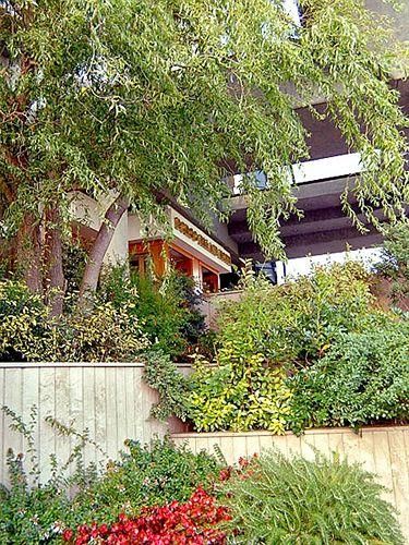 Outdoor Pictures 21