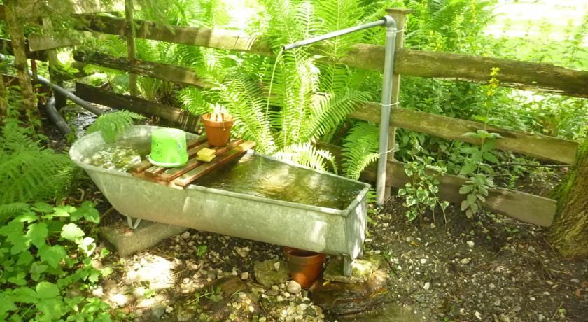 Outdoor Pictures 8