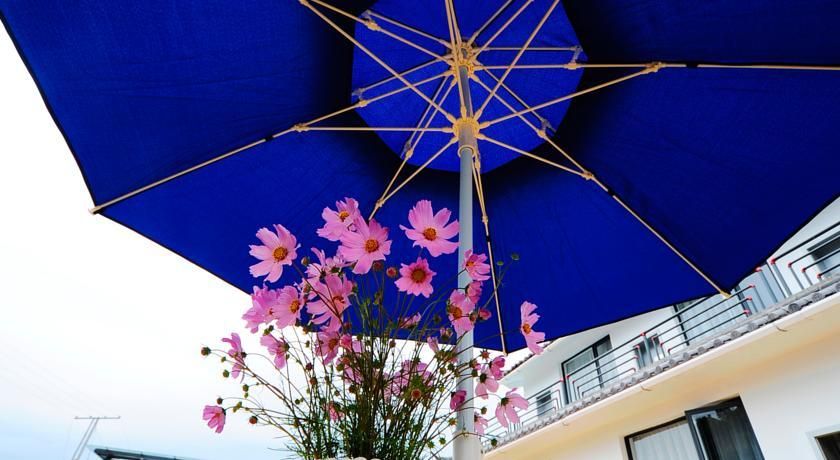 Outdoor Pictures 24