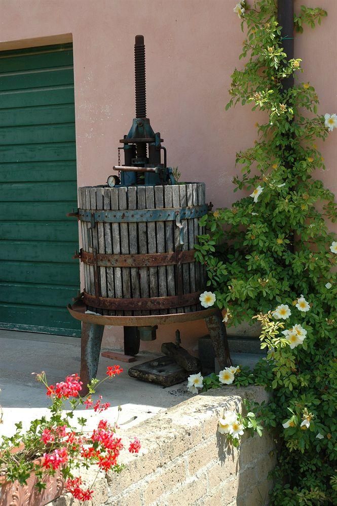 Outdoor Pictures 24