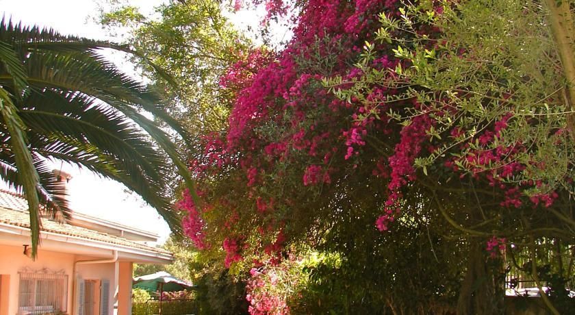 Outdoor Pictures 23