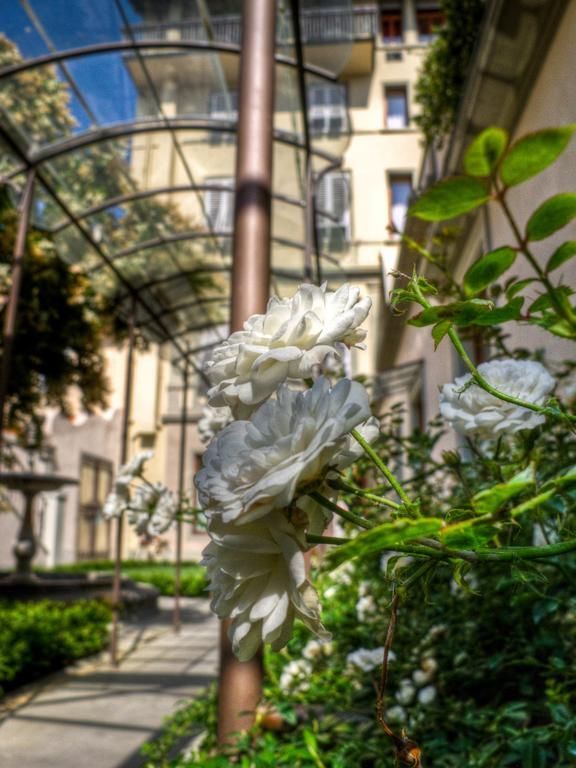 Outdoor Pictures 20