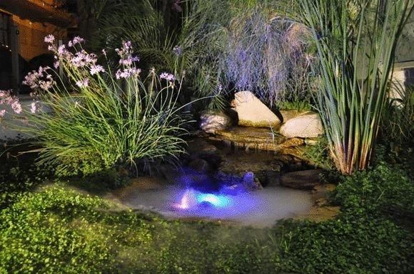 Outdoor Pictures 15