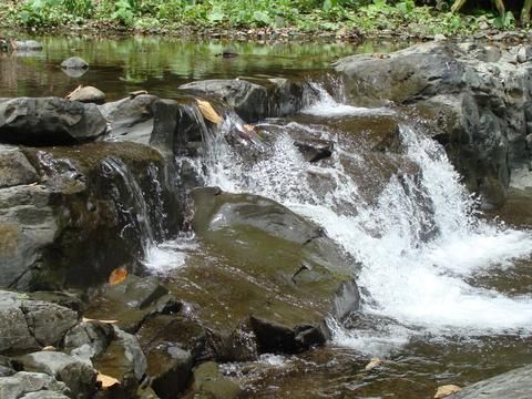 Outdoor Pictures 16