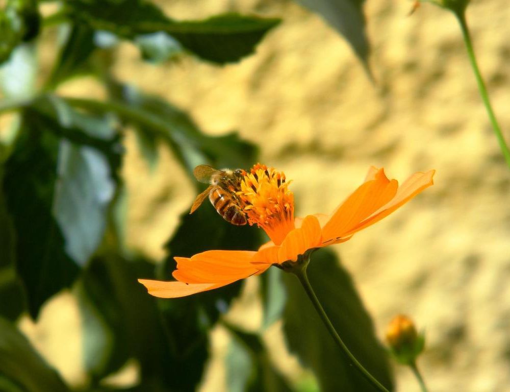 Outdoor Pictures 23