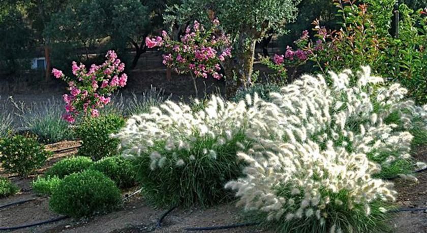 Outdoor Pictures 21