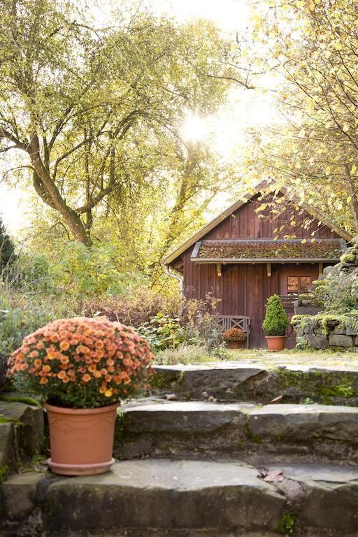 Outdoor Pictures 20