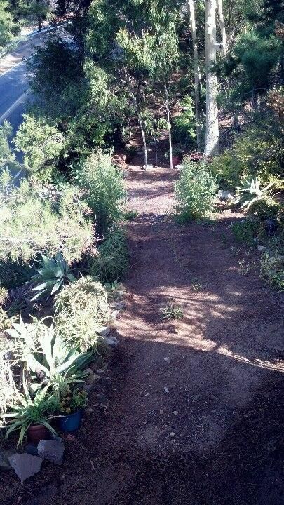 Outdoor Pictures 11