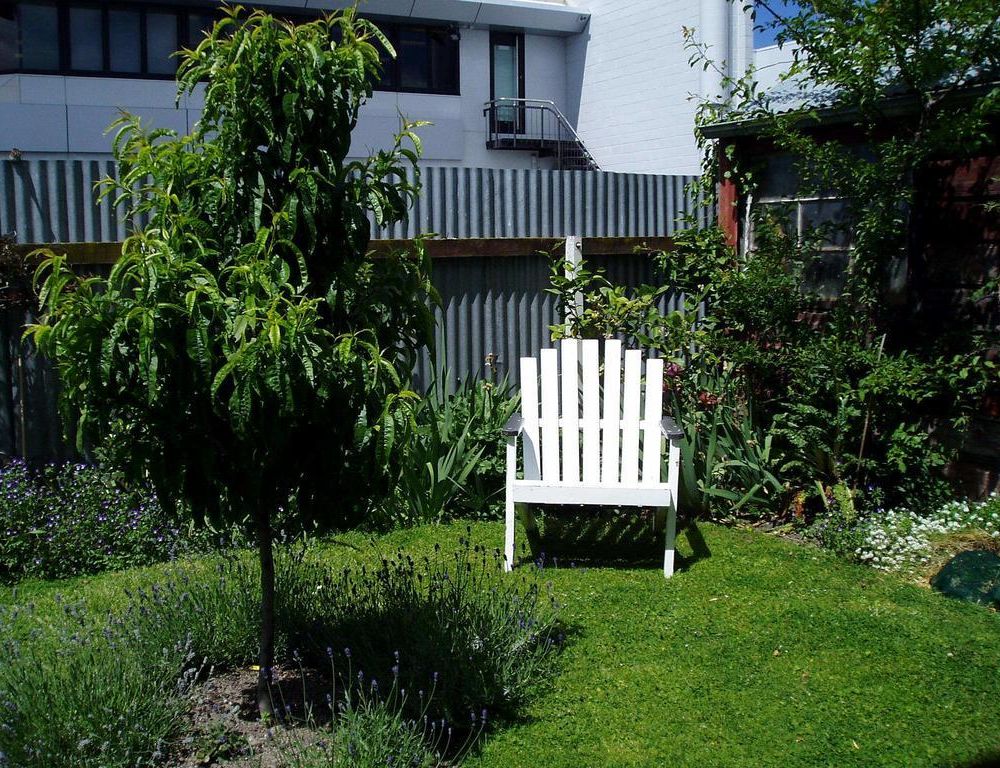 Outdoor Pictures 21