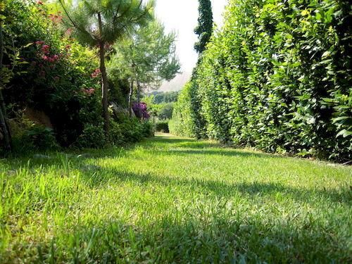 Outdoor Pictures 22