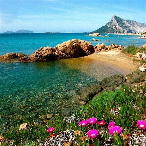 Outdoor Pictures 21