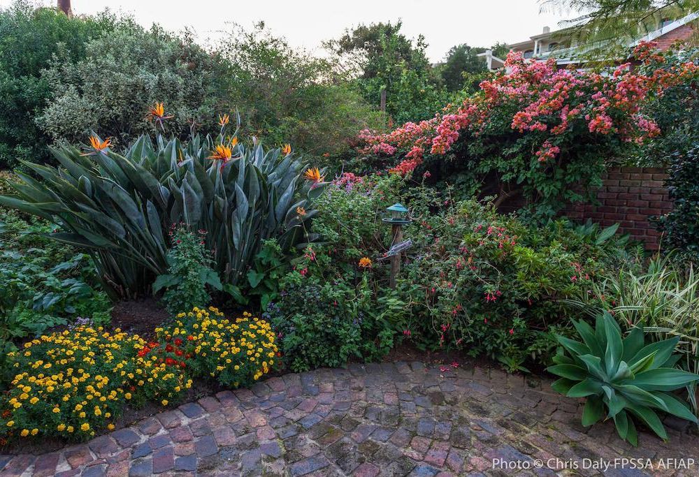 Outdoor Pictures 17