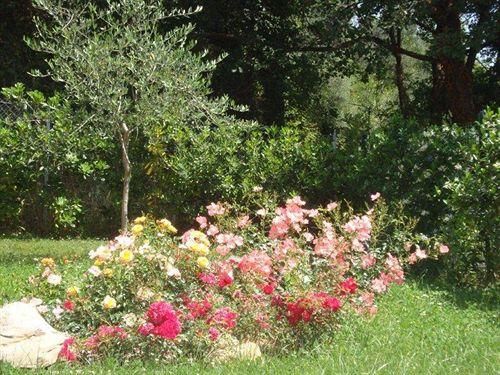 Outdoor Pictures 17
