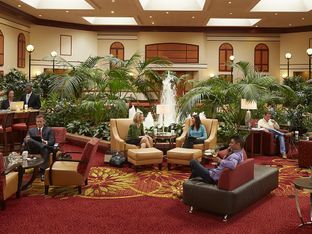 Hotel Image 5