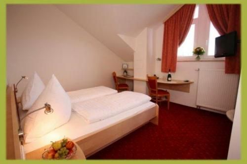 Hunderesort Waldeck - Urlaub mit Hund - Superior