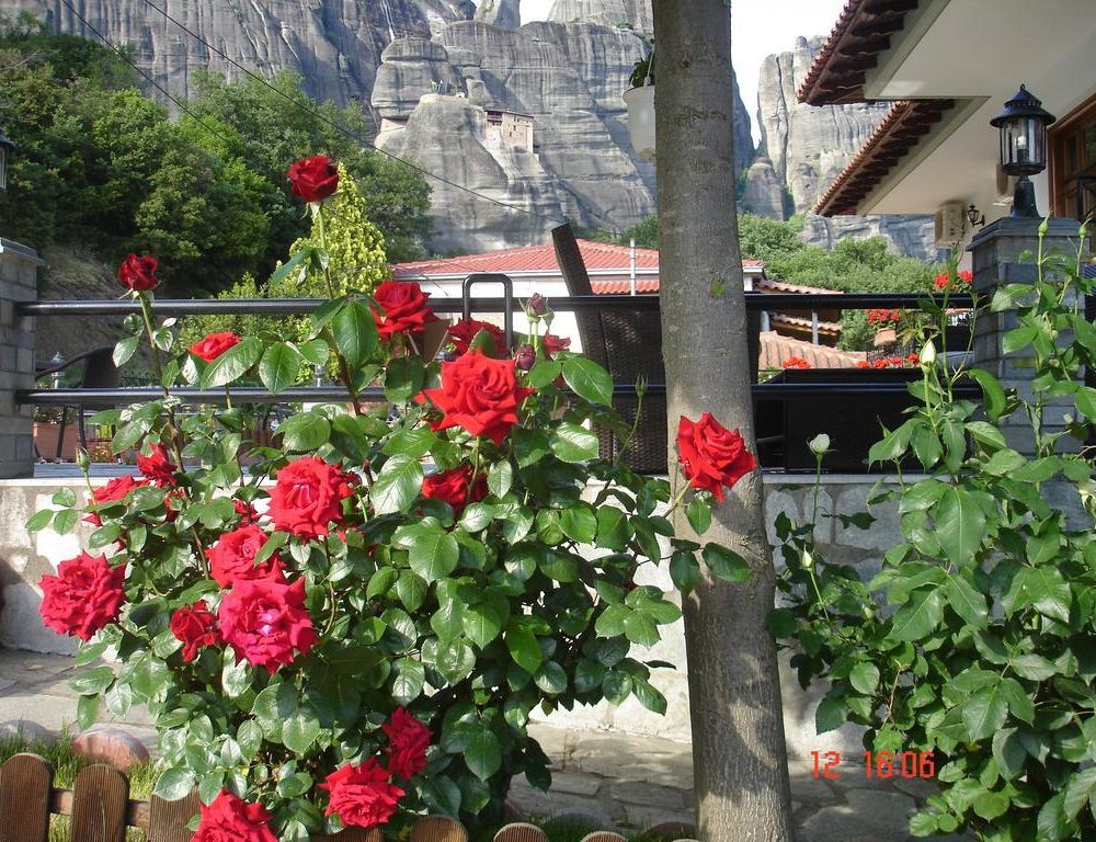 Outdoor Pictures 14