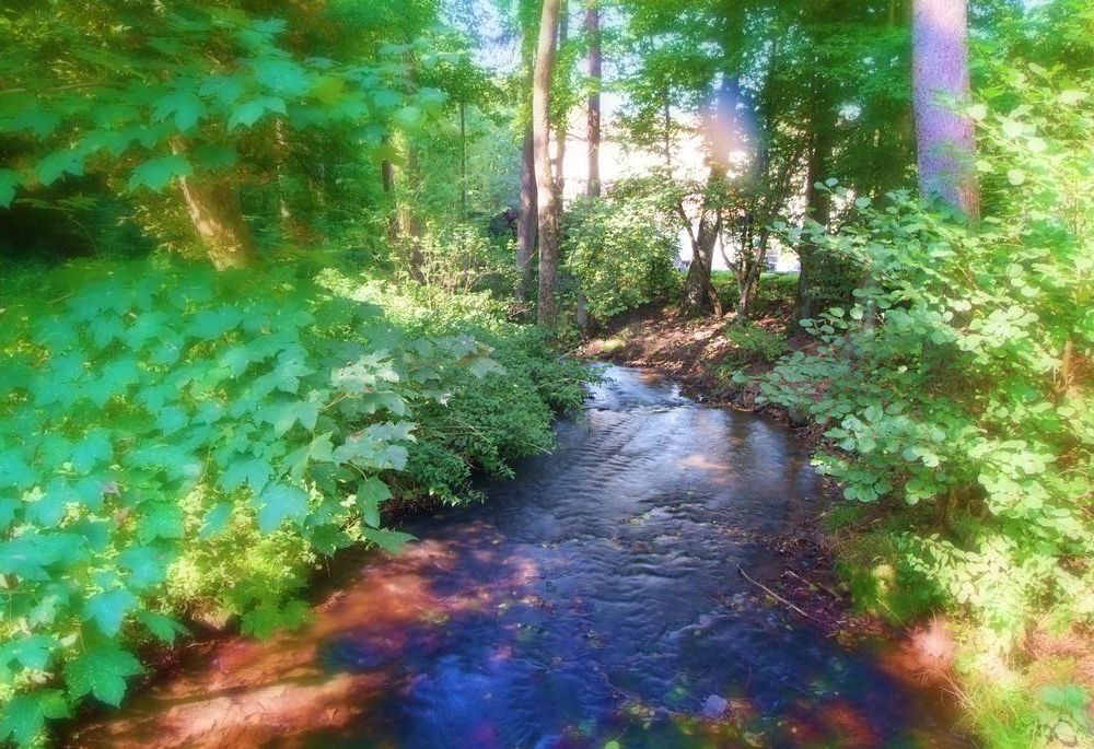 Outdoor Pictures 22