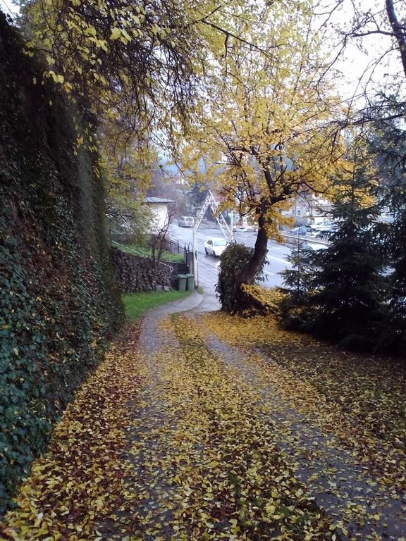 Outdoor Pictures 21