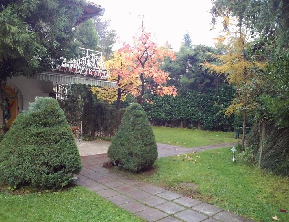 Outdoor Pictures 19