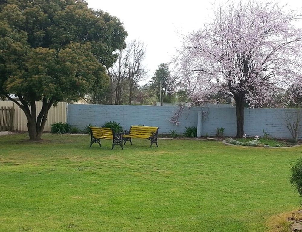 Outdoor Pictures 10
