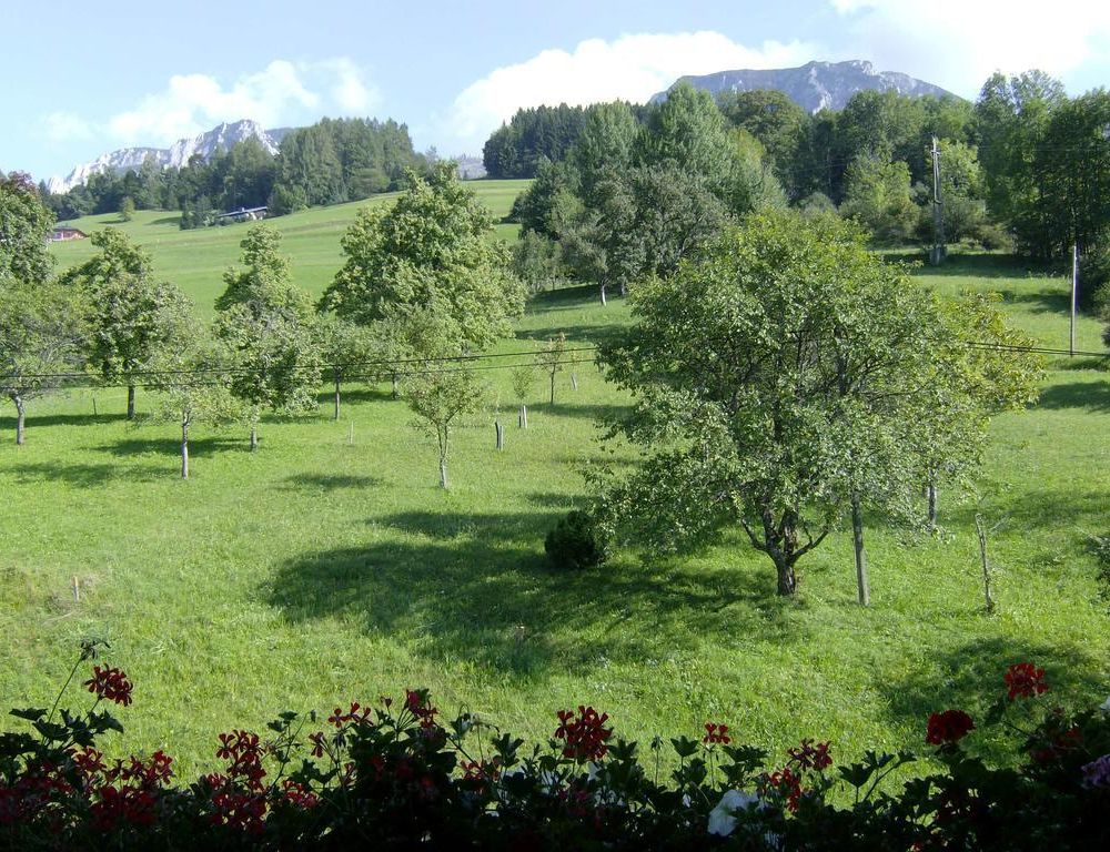 Outdoor Pictures 19