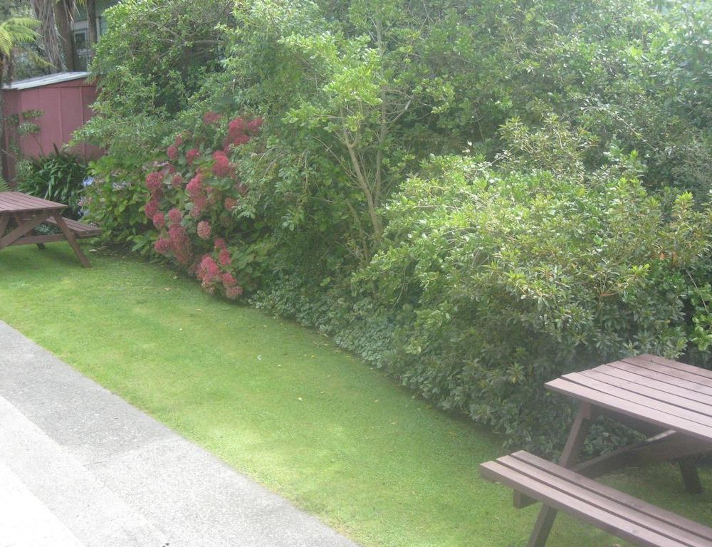 Outdoor Pictures 21