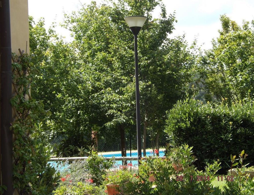 Outdoor Pictures 12