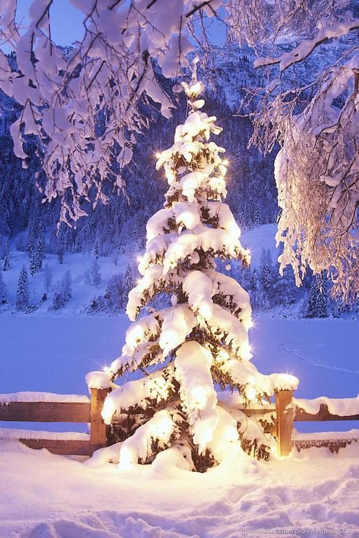Outdoor Pictures 20