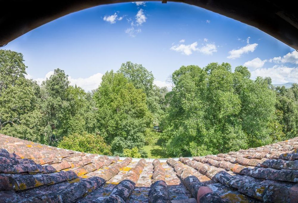 Outdoor Pictures 24