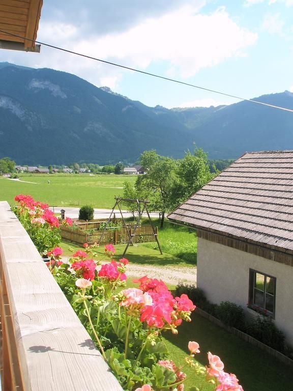 Outdoor Pictures 11