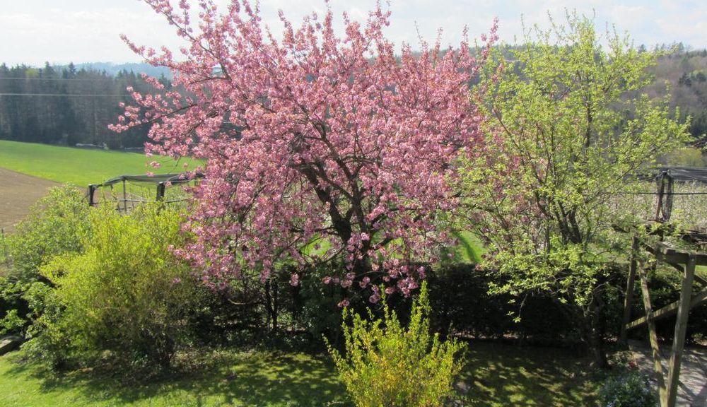 Outdoor Pictures 11