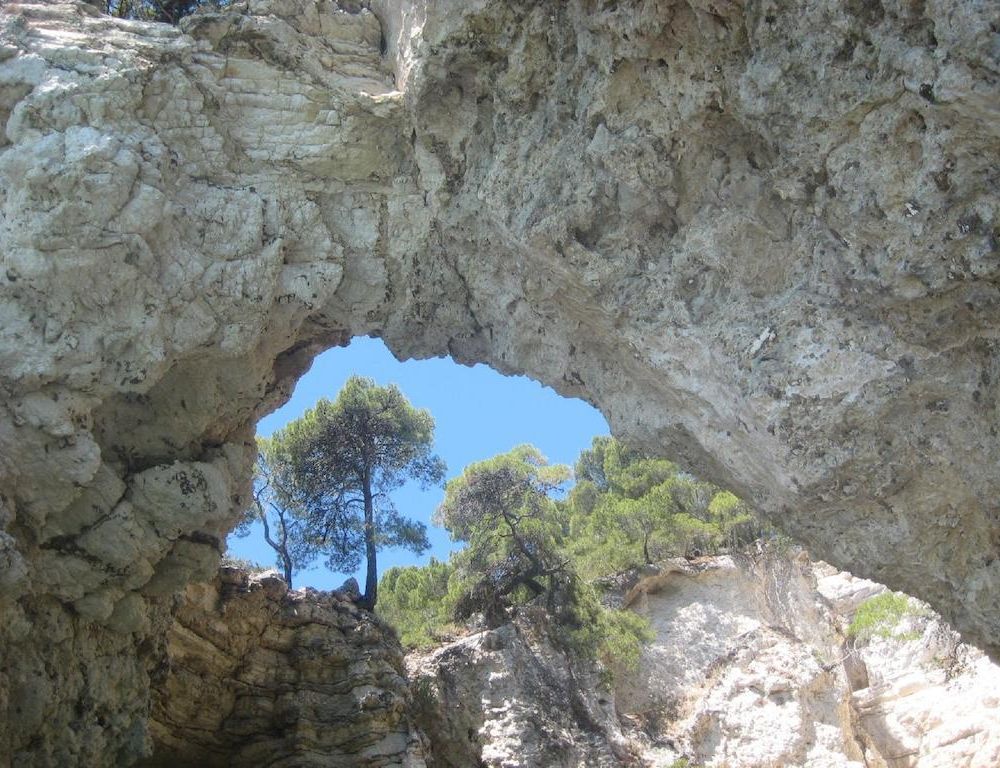 Outdoor Pictures 21