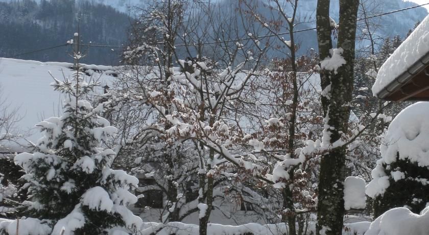 Outdoor Pictures 11
