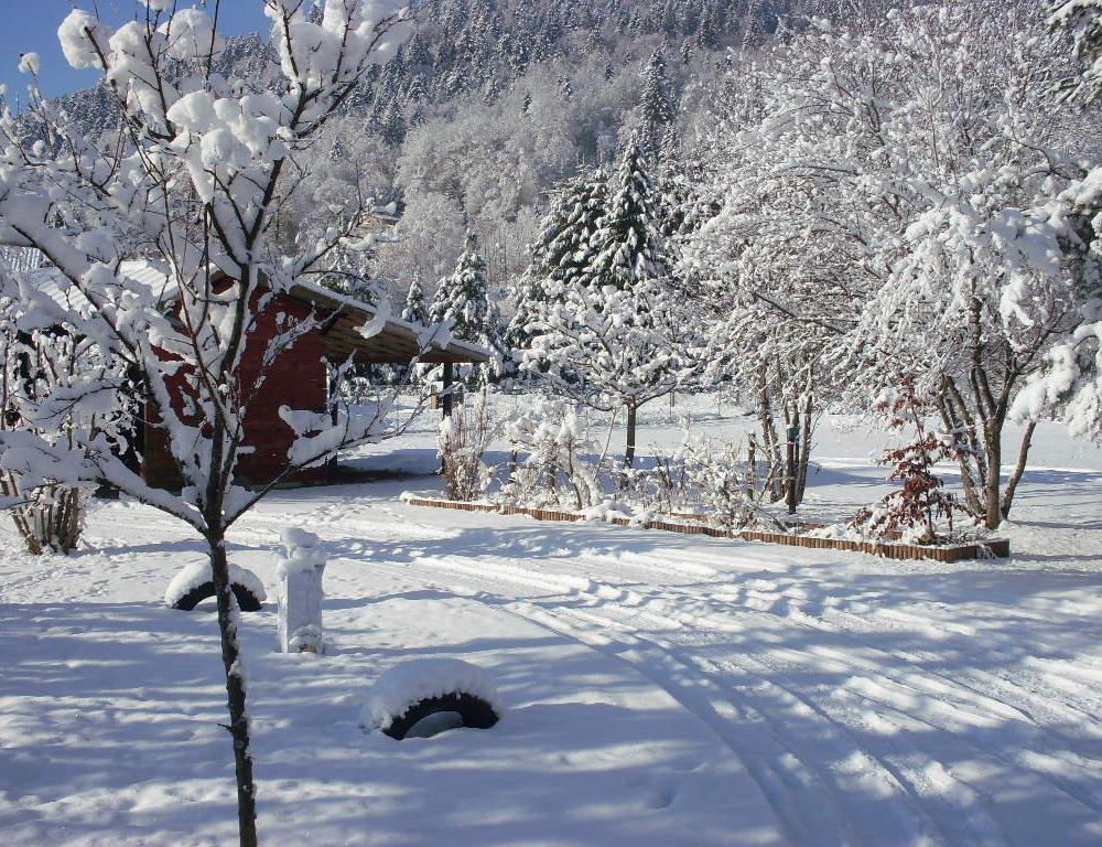 Outdoor Pictures 20