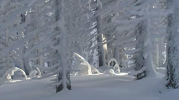 Outdoor Pictures 20