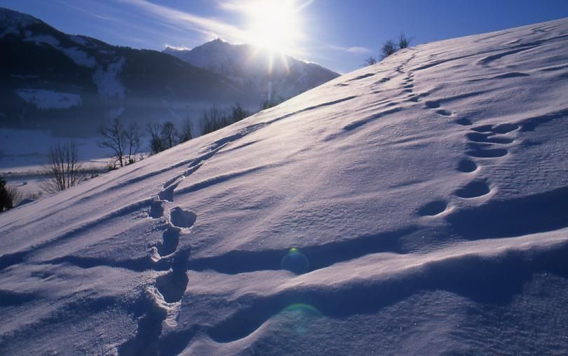 Outdoor Pictures 7