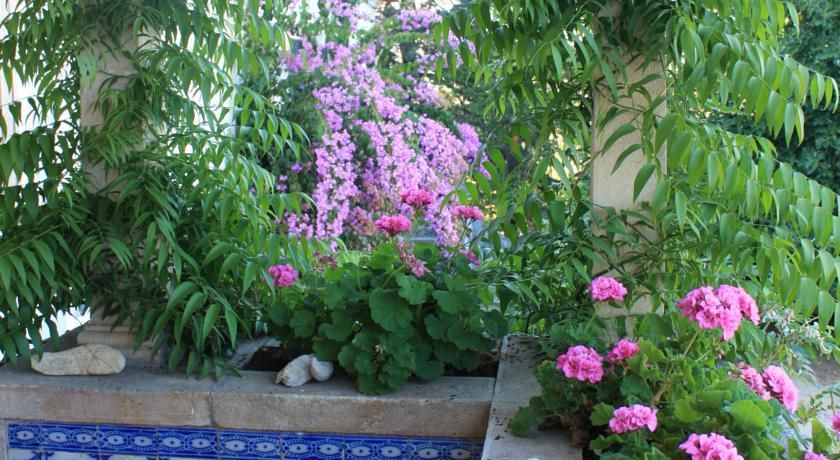 Outdoor Pictures 20