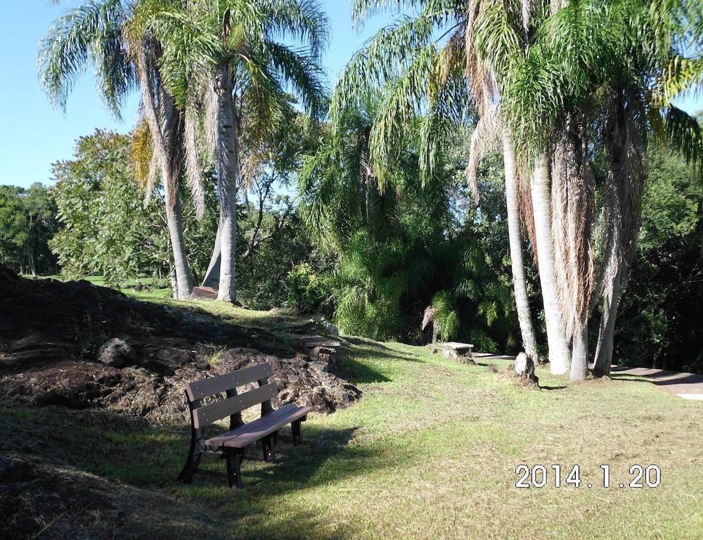 Outdoor Pictures 12