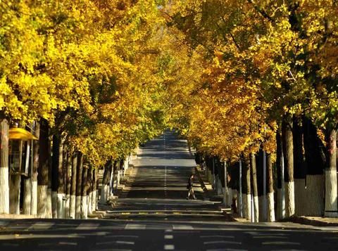 Outdoor Pictures 24