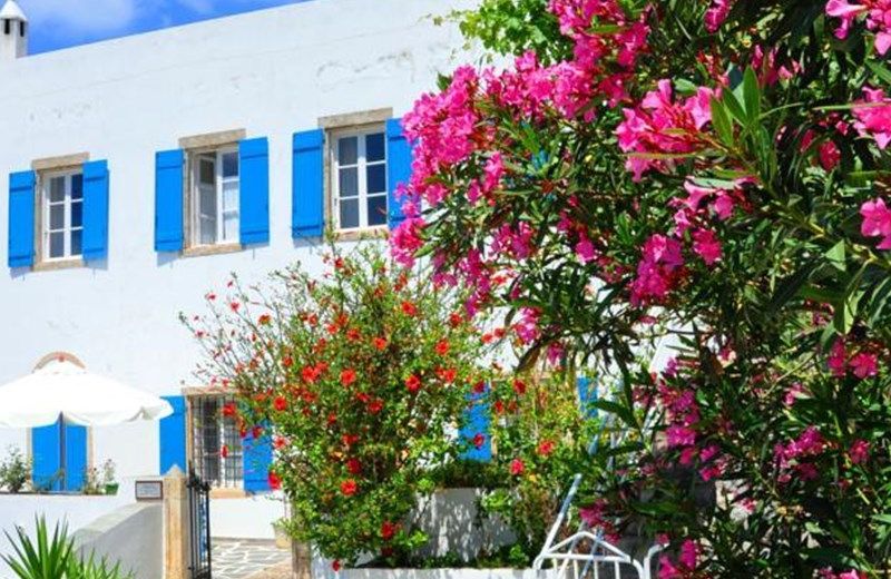 Margarita Hotel