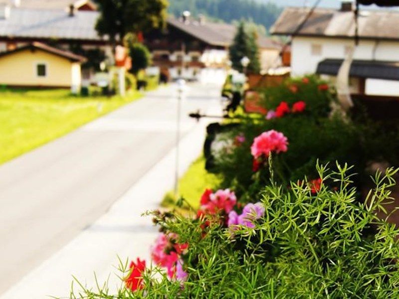 Outdoor Pictures 19